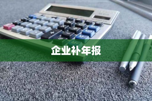 企业补年报