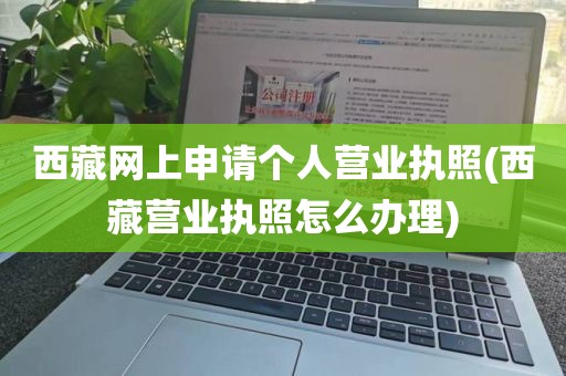 西藏网上申请个人营业执照(西藏营业执照怎么办理)