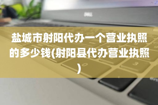 盐城市射阳代办一个营业执照的多少钱(射阳县代办营业执照)