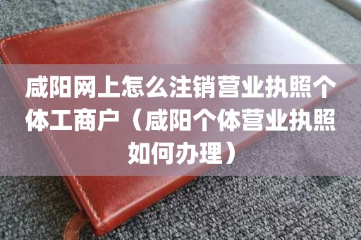咸阳网上怎么注销营业执照个体工商户（咸阳个体营业执照如何办理）