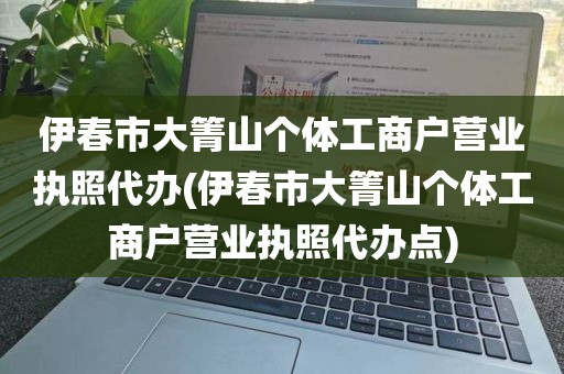 伊春市大箐山个体工商户营业执照代办(伊春市大箐山个体工商户营业执照代办点)