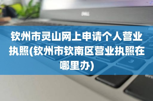 钦州市灵山网上申请个人营业执照(钦州市钦南区营业执照在哪里办)
