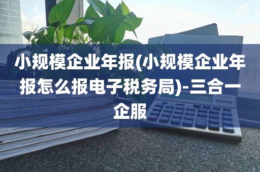 小规模企业年报(小规模企业年报怎么报电子税务局)-三合一企服