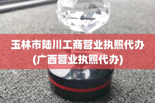 玉林市陆川工商营业执照代办(广西营业执照代办)