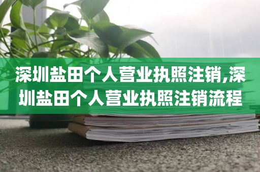 深圳盐田个人营业执照注销,深圳盐田个人营业执照注销流程