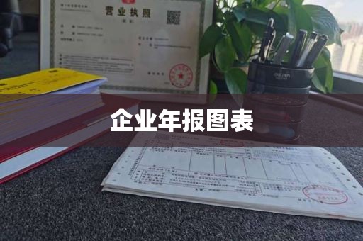 企业年报图表