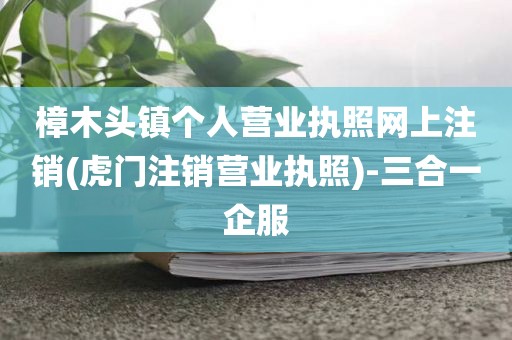 樟木头镇个人营业执照网上注销(虎门注销营业执照)-三合一企服