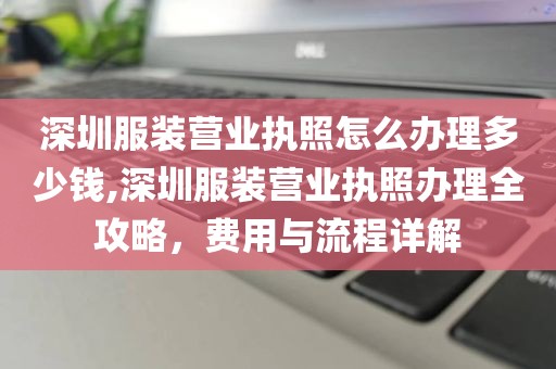深圳服装营业执照怎么办理多少钱,深圳服装营业执照办理全攻略，费用与流程详解