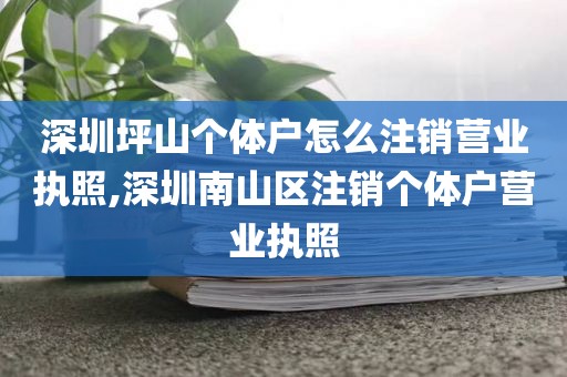 深圳坪山个体户怎么注销营业执照,深圳南山区注销个体户营业执照