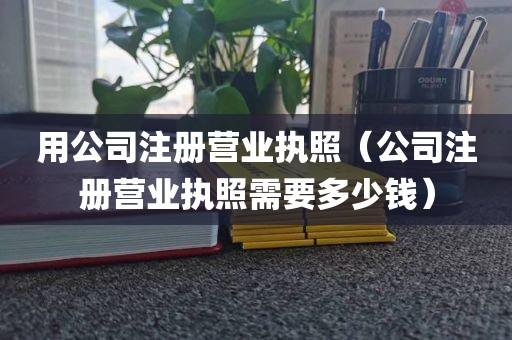 用公司注册营业执照（公司注册营业执照需要多少钱）