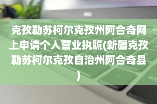 克孜勒苏柯尔克孜州阿合奇网上申请个人营业执照(新疆克孜勒苏柯尔克孜自治州阿合奇县)