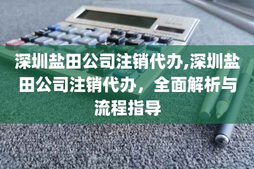 深圳盐田公司注销代办,深圳盐田公司注销代办，全面解析与流程指导