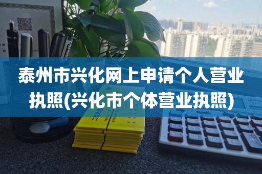 泰州市兴化网上申请个人营业执照(兴化市个体营业执照)