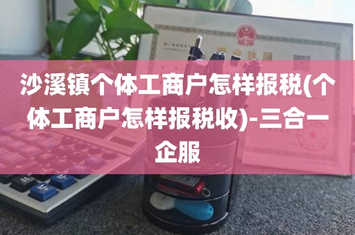 沙溪镇个体工商户怎样报税(个体工商户怎样报税收)-三合一企服