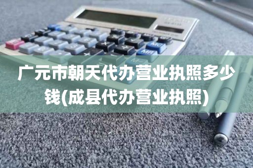 广元市朝天代办营业执照多少钱(成县代办营业执照)