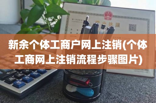 新余个体工商户网上注销(个体工商网上注销流程步骤图片)