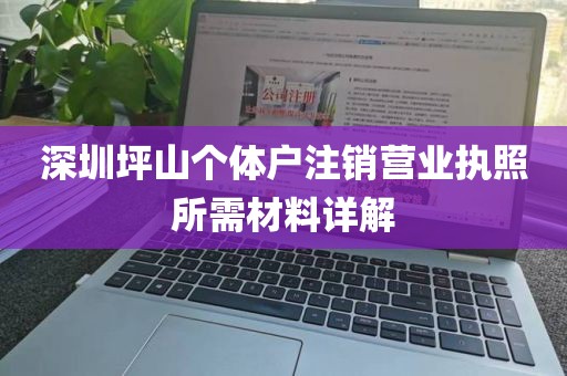 深圳坪山个体户注销营业执照所需材料详解