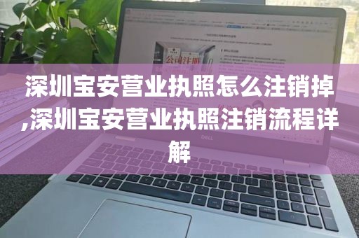 深圳宝安营业执照怎么注销掉,深圳宝安营业执照注销流程详解