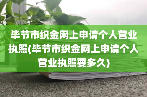 毕节市织金网上申请个人营业执照(毕节市织金网上申请个人营业执照要多久)