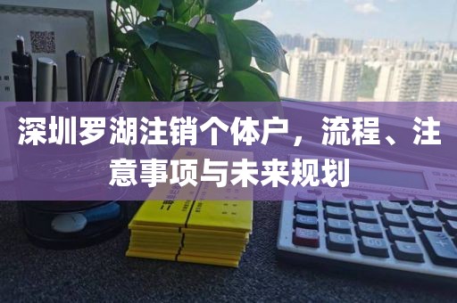 深圳罗湖注销个体户，流程、注意事项与未来规划