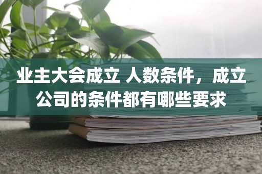 业主大会成立 人数条件，成立公司的条件都有哪些要求