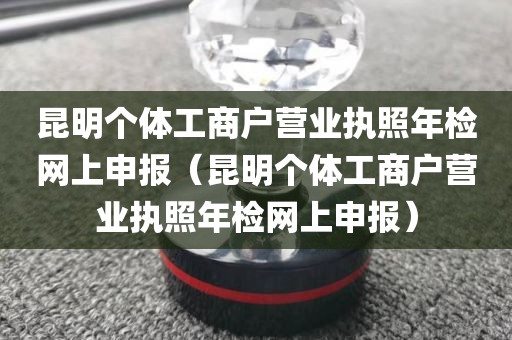 昆明个体工商户营业执照年检网上申报（昆明个体工商户营业执照年检网上申报）