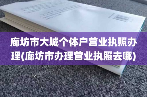 廊坊市大城个体户营业执照办理(廊坊市办理营业执照去哪)