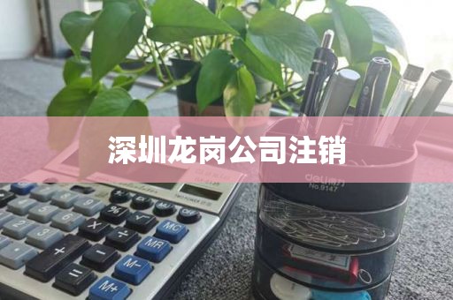 深圳龙岗公司注销