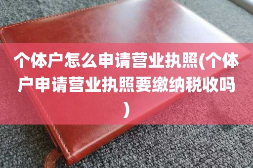 个体户怎么申请营业执照(个体户申请营业执照要缴纳税收吗)