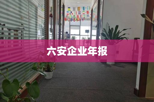 六安企业年报