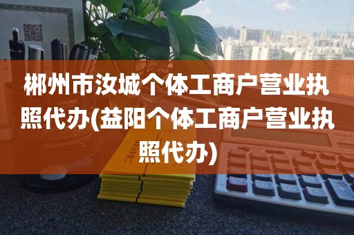 郴州市汝城个体工商户营业执照代办(益阳个体工商户营业执照代办)