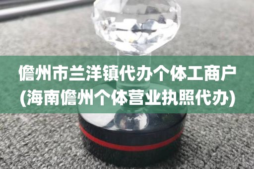 儋州市兰洋镇代办个体工商户(海南儋州个体营业执照代办)