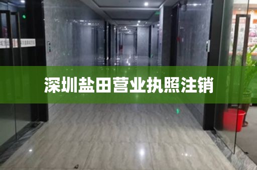 深圳盐田营业执照注销