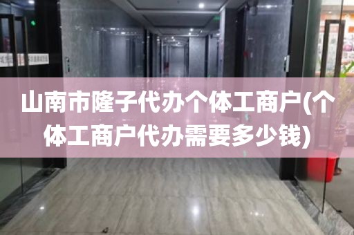 山南市隆子代办个体工商户(个体工商户代办需要多少钱)