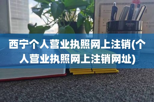 西宁个人营业执照网上注销(个人营业执照网上注销网址)