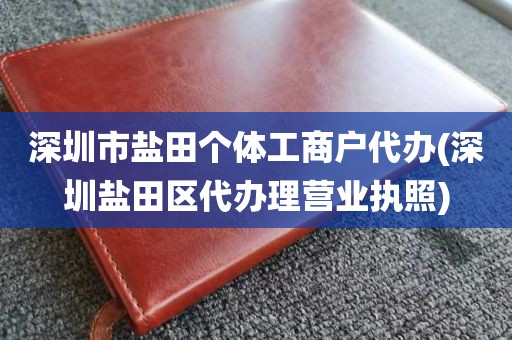 深圳市盐田个体工商户代办(深圳盐田区代办理营业执照)
