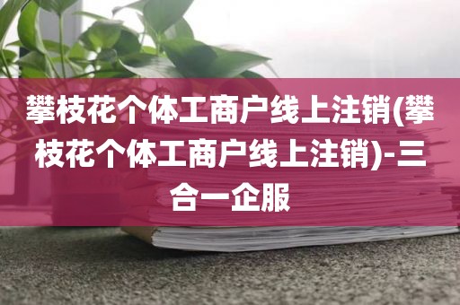 攀枝花个体工商户线上注销(攀枝花个体工商户线上注销)-三合一企服