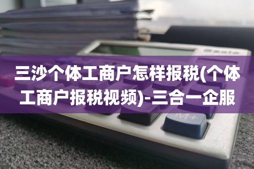 三沙个体工商户怎样报税(个体工商户报税视频)-三合一企服