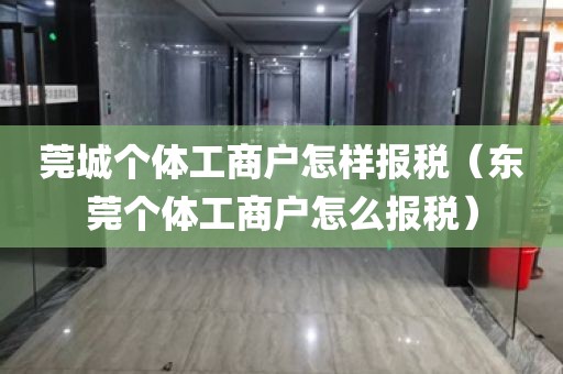 莞城个体工商户怎样报税（东莞个体工商户怎么报税）