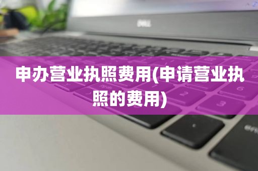 申办营业执照费用(申请营业执照的费用)