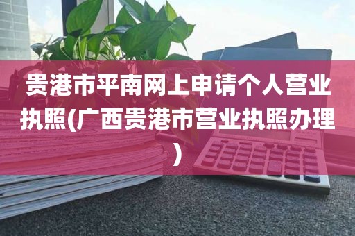 贵港市平南网上申请个人营业执照(广西贵港市营业执照办理)