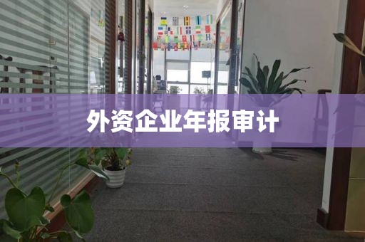 外资企业年报审计