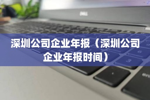 深圳公司企业年报（深圳公司企业年报时间）