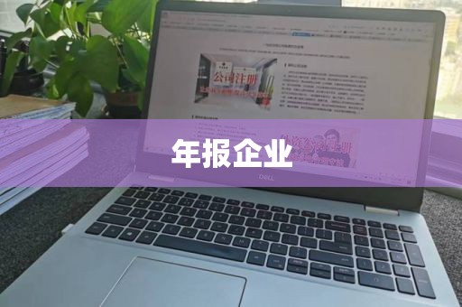 年报企业