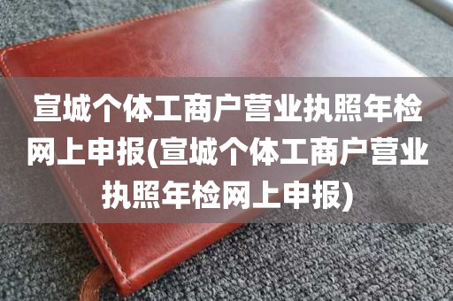 宣城个体工商户营业执照年检网上申报(宣城个体工商户营业执照年检网上申报)