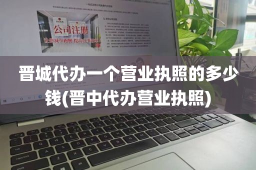 晋城代办一个营业执照的多少钱(晋中代办营业执照)
