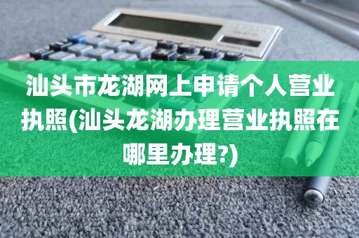 汕头市龙湖网上申请个人营业执照(汕头龙湖办理营业执照在哪里办理?)