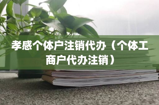 孝感个体户注销代办（个体工商户代办注销）