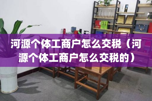 河源个体工商户怎么交税（河源个体工商户怎么交税的）