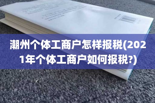 潮州个体工商户怎样报税(2021年个体工商户如何报税?)